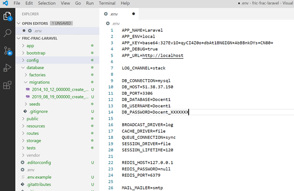 Laravel env file
